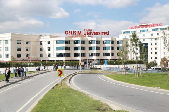 جامعة اسطنبول جيليشيم