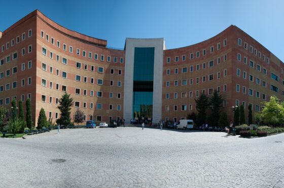 جامعة يدي تبه